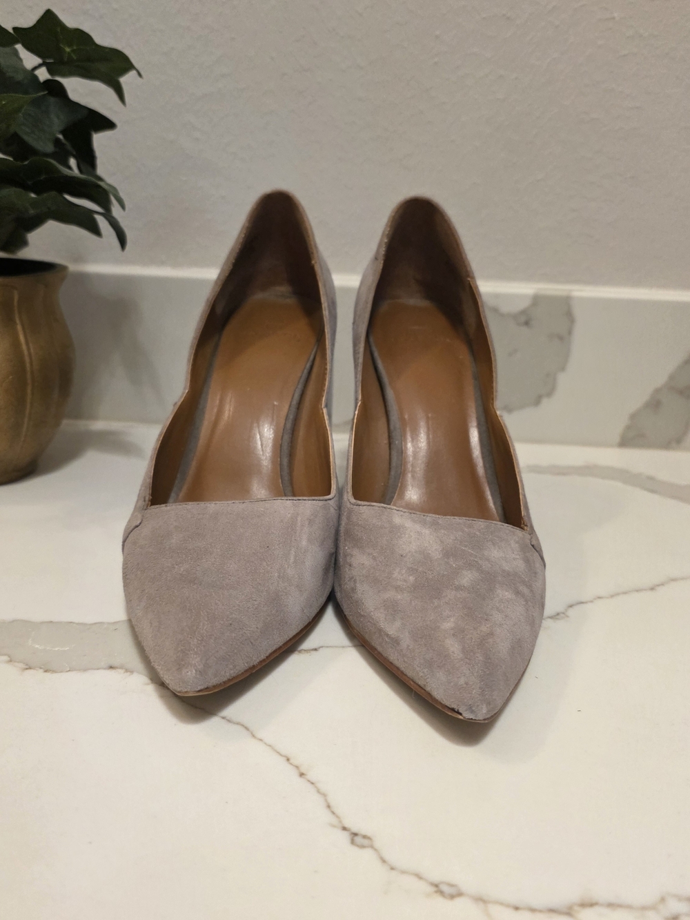 HALSTON Suede Pointed-Toe Women's Pumps in Taupe
